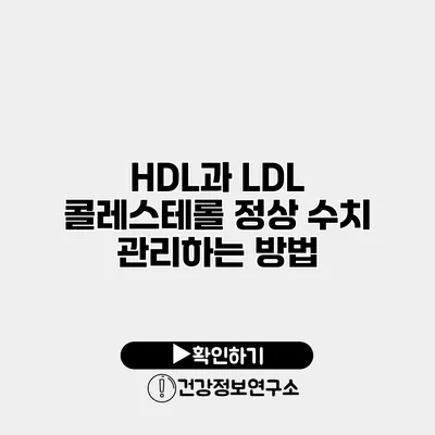 HDL과 LDL 콜레스테롤 정상 수치 관리하는 방법