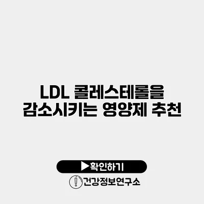 LDL 콜레스테롤을 감소시키는 영양제 추천