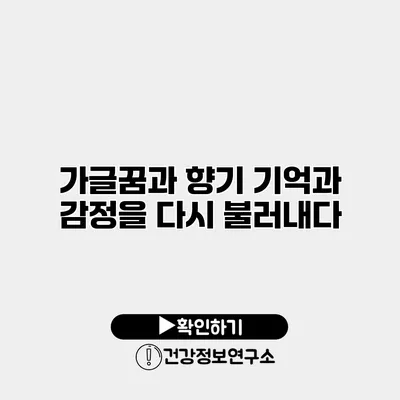 가글꿈과 향기 기억과 감정을 다시 불러내다