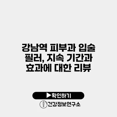 강남역 피부과 입술 필러, 지속 기간과 효과에 대한 리뷰