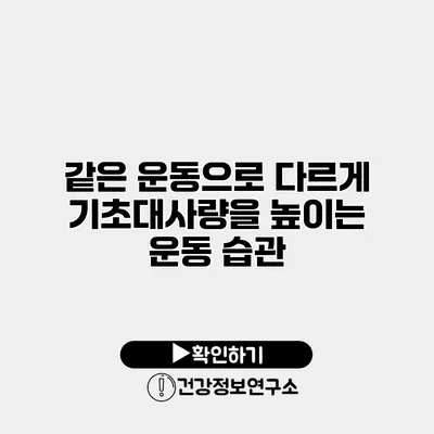 같은 운동으로 다르게 기초대사량을 높이는 운동 습관