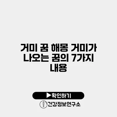 거미 꿈 해몽 거미가 나오는 꿈의 7가지 내용