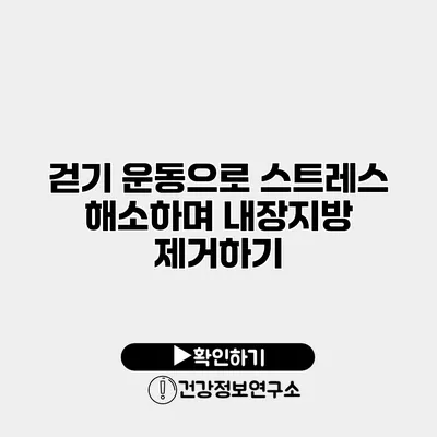 걷기 운동으로 스트레스 해소하며 내장지방 제거하기