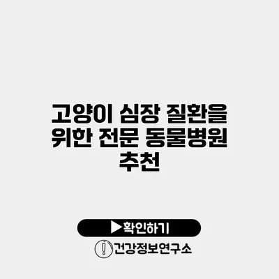고양이 심장 질환을 위한 전문 동물병원 추천