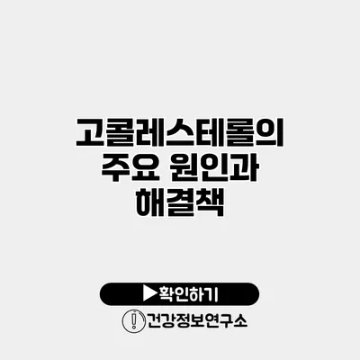 고콜레스테롤의 주요 원인과 해결책