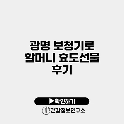 광명 보청기로 할머니 효도선물 후기