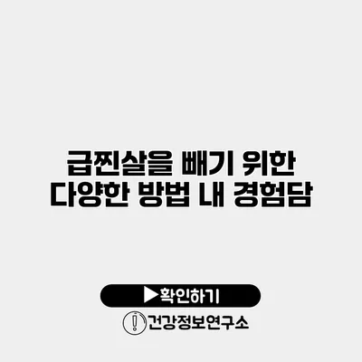 급찐살을 빼기 위한 다양한 방법 내 경험담