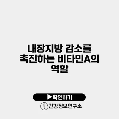 내장지방 감소를 촉진하는 비타민A의 역할