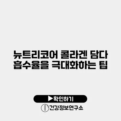 뉴트리코어 콜라겐 담다 흡수율을 극대화하는 팁