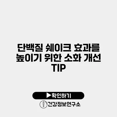 단백질 쉐이크 효과를 높이기 위한 소화 개선 TIP