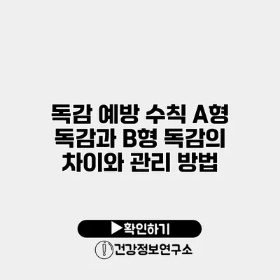 독감 예방 수칙 A형 독감과 B형 독감의 차이와 관리 방법