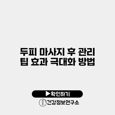 두피 마사지 후 관리 팁 효과 극대화 방법