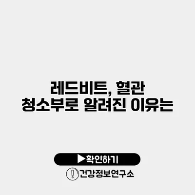 레드비트, 혈관 청소부로 알려진 이유는?