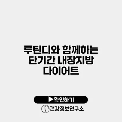 루틴디와 함께하는 단기간 내장지방 다이어트