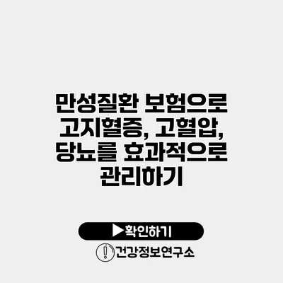 만성질환 보험으로 고지혈증, 고혈압, 당뇨를 효과적으로 관리하기