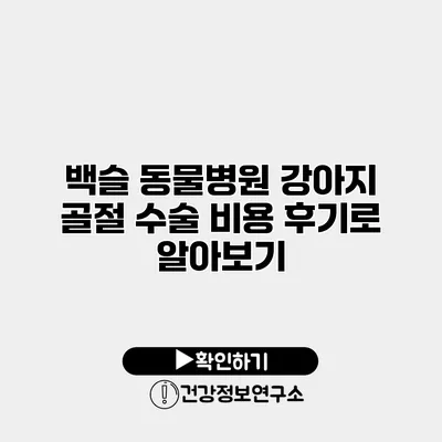 백슬 동물병원 강아지 골절 수술 비용 후기로 알아보기