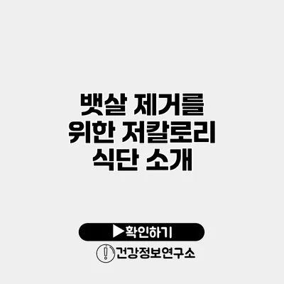 뱃살 제거를 위한 저칼로리 식단 소개