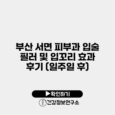 부산 서면 피부과 입술 필러 및 입꼬리 효과 후기 (일주일 후)