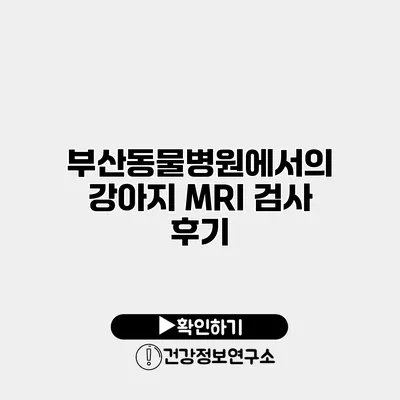 부산동물병원에서의 강아지 MRI 검사 후기