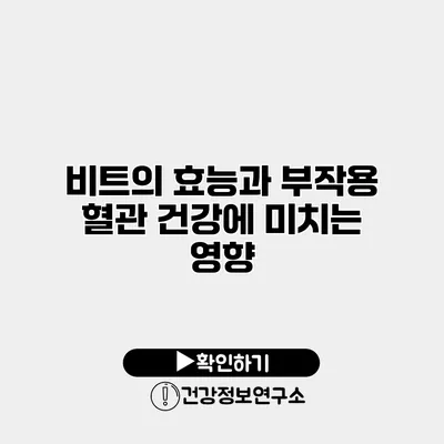 비트의 효능과 부작용 혈관 건강에 미치는 영향