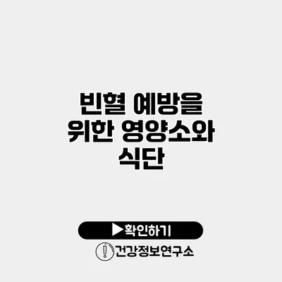 빈혈 예방을 위한 영양소와 식단