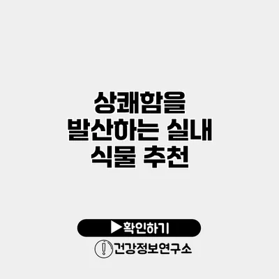 상쾌함을 발산하는 실내 식물 추천