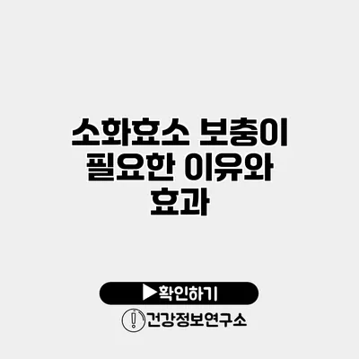 소화효소 보충이 필요한 이유와 효과