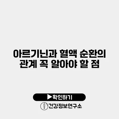 아르기닌과 혈액 순환의 관계 꼭 알아야 할 점
