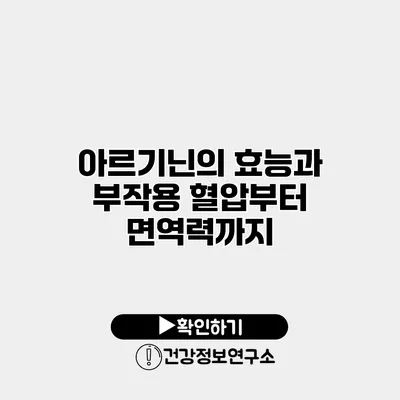 아르기닌의 효능과 부작용 혈압부터 면역력까지