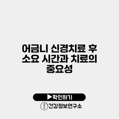 어금니 신경치료 후 소요 시간과 치료의 중요성