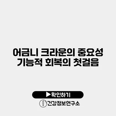 어금니 크라운의 중요성 기능적 회복의 첫걸음