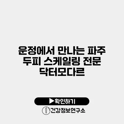 운정에서 만나는 파주 두피 스케일링 전문 닥터모다르
