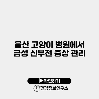 울산 고양이 병원에서 급성 신부전 증상 관리