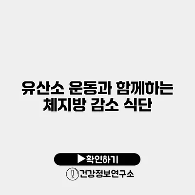 유산소 운동과 함께하는 체지방 감소 식단