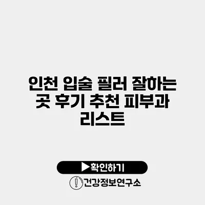 인천 입술 필러 잘하는 곳 후기 추천 피부과 리스트