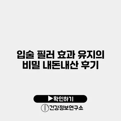 입술 필러 효과 유지의 비밀 내돈내산 후기