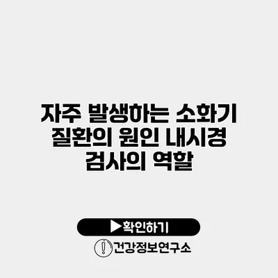 자주 발생하는 소화기 질환의 원인 내시경 검사의 역할