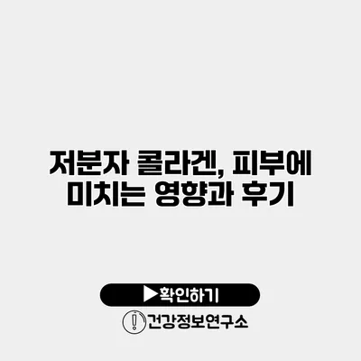 저분자 콜라겐, 피부에 미치는 영향과 후기