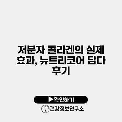 저분자 콜라겐의 실제 효과, 뉴트리코어 담다 후기