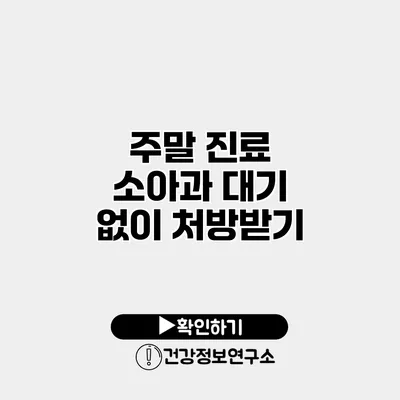주말 진료 소아과 대기 없이 처방받기
