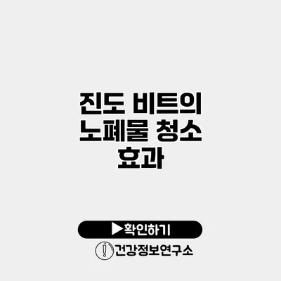 진도 비트의 노폐물 청소 효과