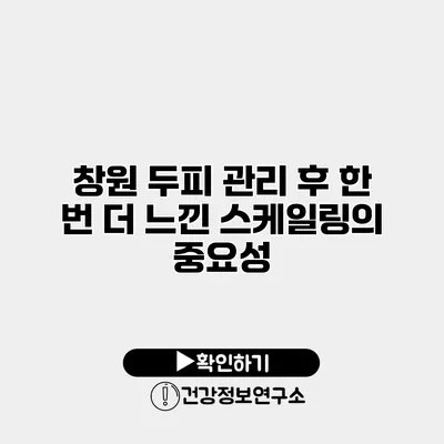 창원 두피 관리 후 한 번 더 느낀 스케일링의 중요성