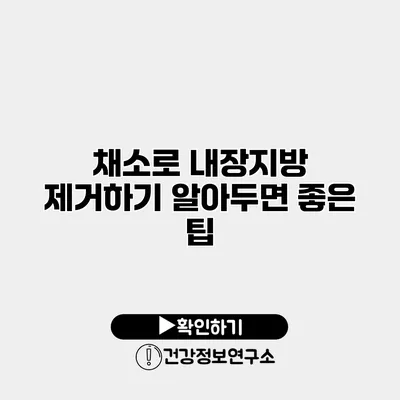 채소로 내장지방 제거하기 알아두면 좋은 팁