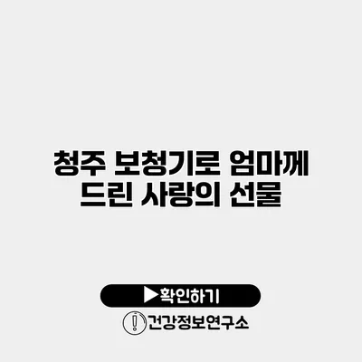청주 보청기로 엄마께 드린 사랑의 선물