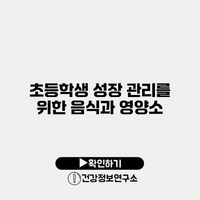 초등학생 성장 관리를 위한 음식과 영양소