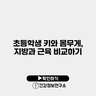 초등학생 키와 몸무게, 지방과 근육 비교하기