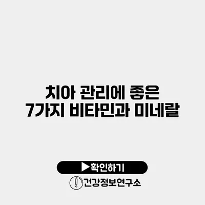 치아 관리에 좋은 7가지 비타민과 미네랄
