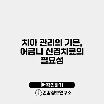 치아 관리의 기본, 어금니 신경치료의 필요성