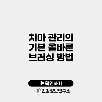 치아 관리의 기본 올바른 브러싱 방법