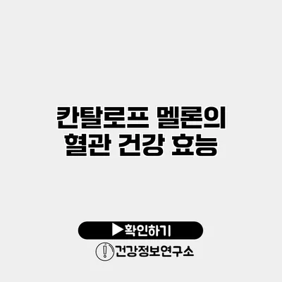 칸탈로프 멜론의 혈관 건강 효능